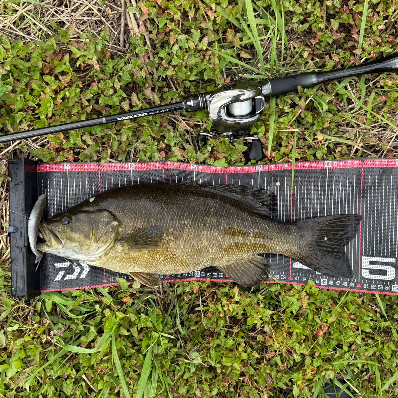 SHIMANO 20ポイズンアルティマ 5ピース 1610MH-5の最安値・インプレ