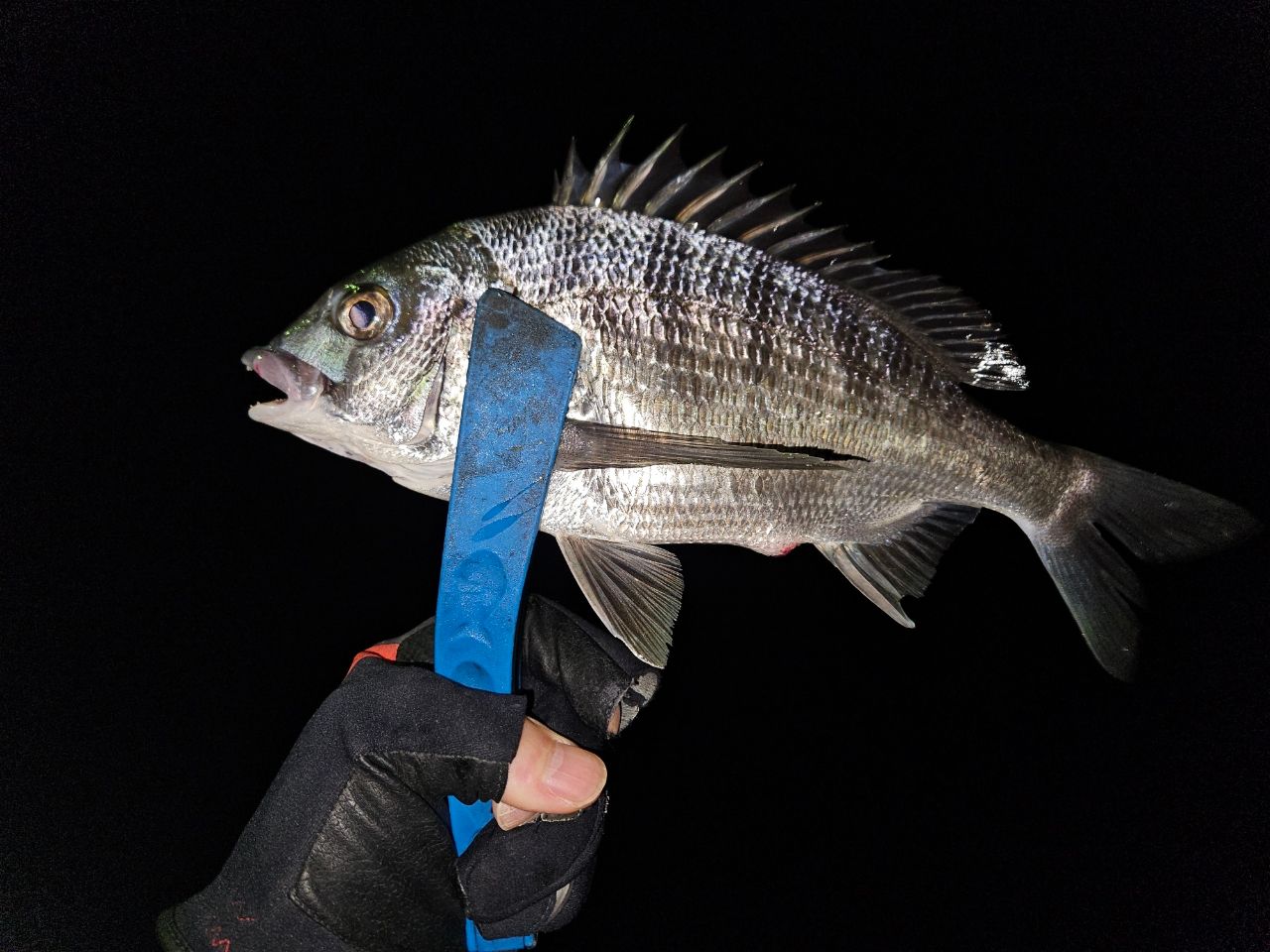 DAIWA 16エメラルダス ストイスト AGS 90ULL-Sの最安値・インプレ