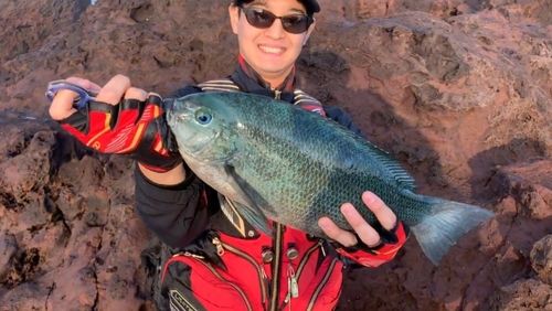 クチブトグレの釣果