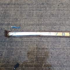 タチウオの釣果