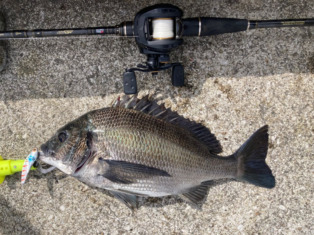 AbuGarcia クロスフィールド XRFC-704M-MBの最安値・インプレ・釣果