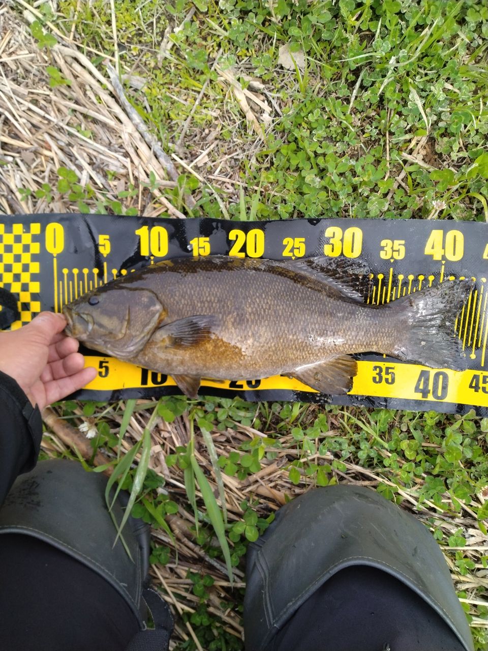 DAIWA 20リベリオン（センターカット2ピース スピニングモデル） 671L+