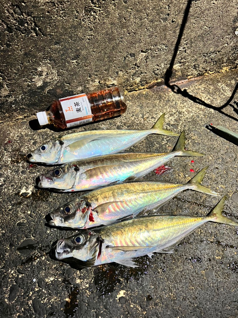 DAIWA 16メバリング X 74UL-Tの最安値・インプレ・釣果 | 本音の口コミ