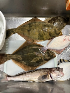 イシモチの釣果