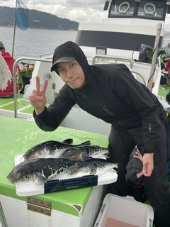 トラフグの釣果