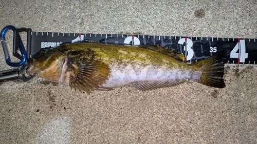 釣果