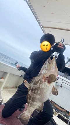 ヒラマサの釣果