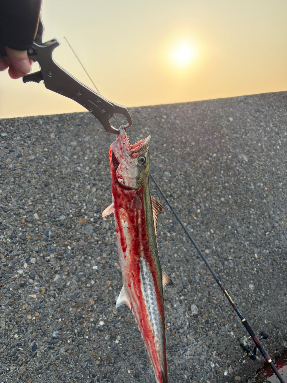 DAIWA 21オーバーゼア グランデ(サーフモデル) 103MHの最安値 DAIWA 21オーバーゼア グランデ(サーフモデル) 103MHの最安値