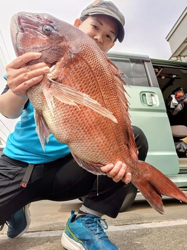 アカアマダイの釣果