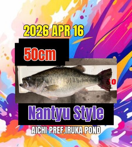ラージマウスバスの釣果