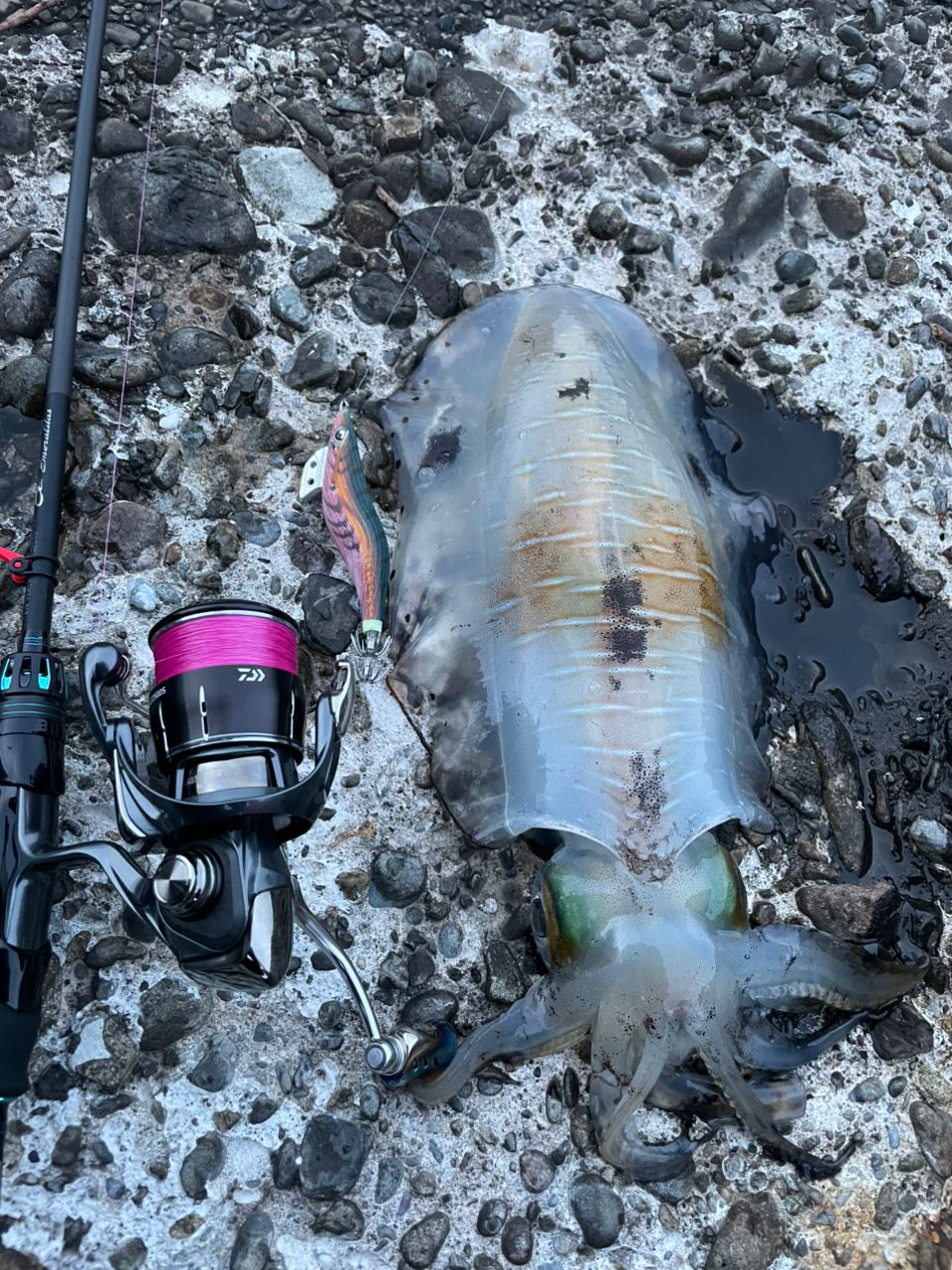 DAIWA 20エメラルダス AIR AGS 75MLMの最安値・インプレ・釣果 | 本音