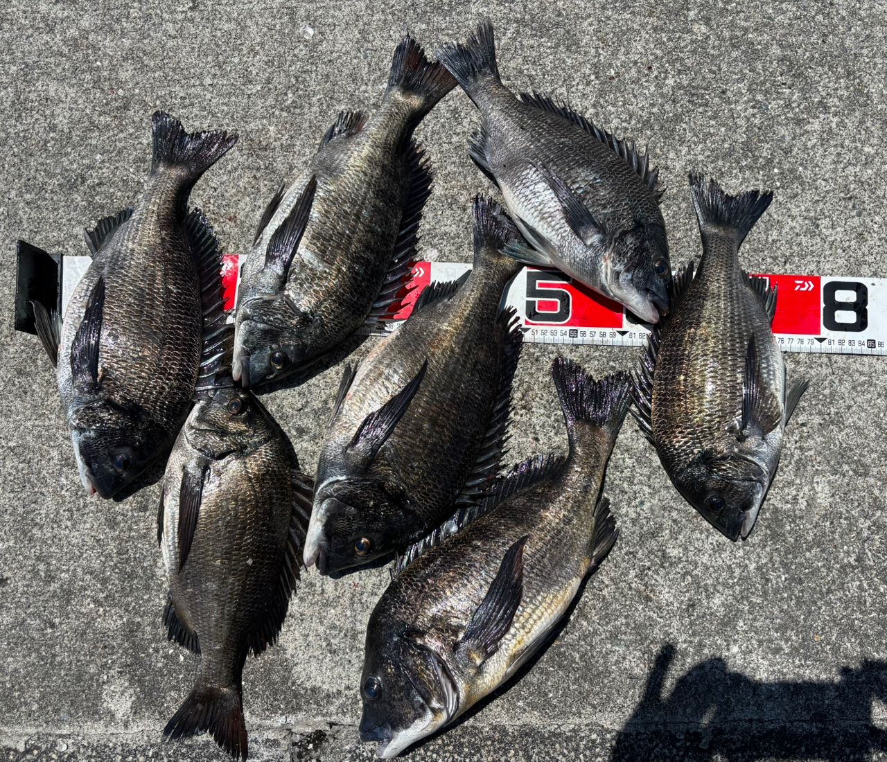 SHIMANO ツインパルサー SZⅡ 1.2-485/520の最安値・インプレ・釣果