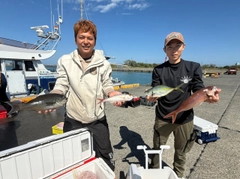 ヒメダイの釣果