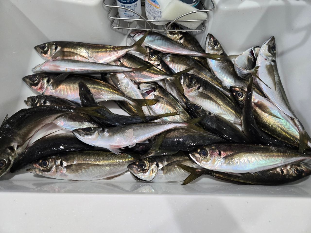 SHIMANO 21ソアレXR S54SUL-Sの最安値・インプレ・釣果 | 本音の口コミ