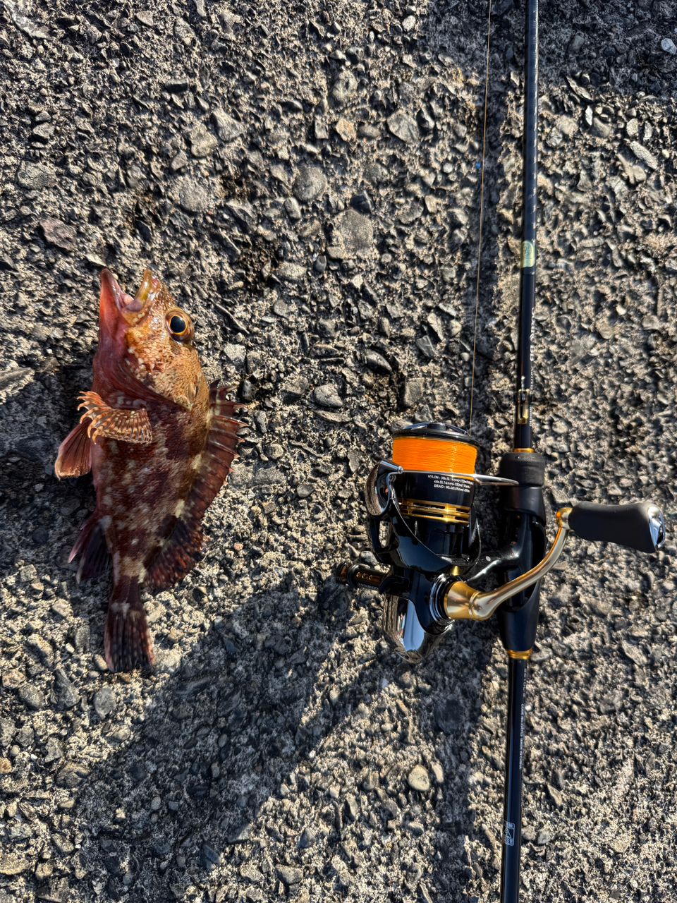 SHIMANO 19ソアレ BB アジング S610L-Sの最安値・インプレ・釣果