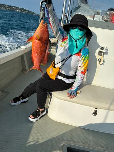 ナガジューミーバイの釣果