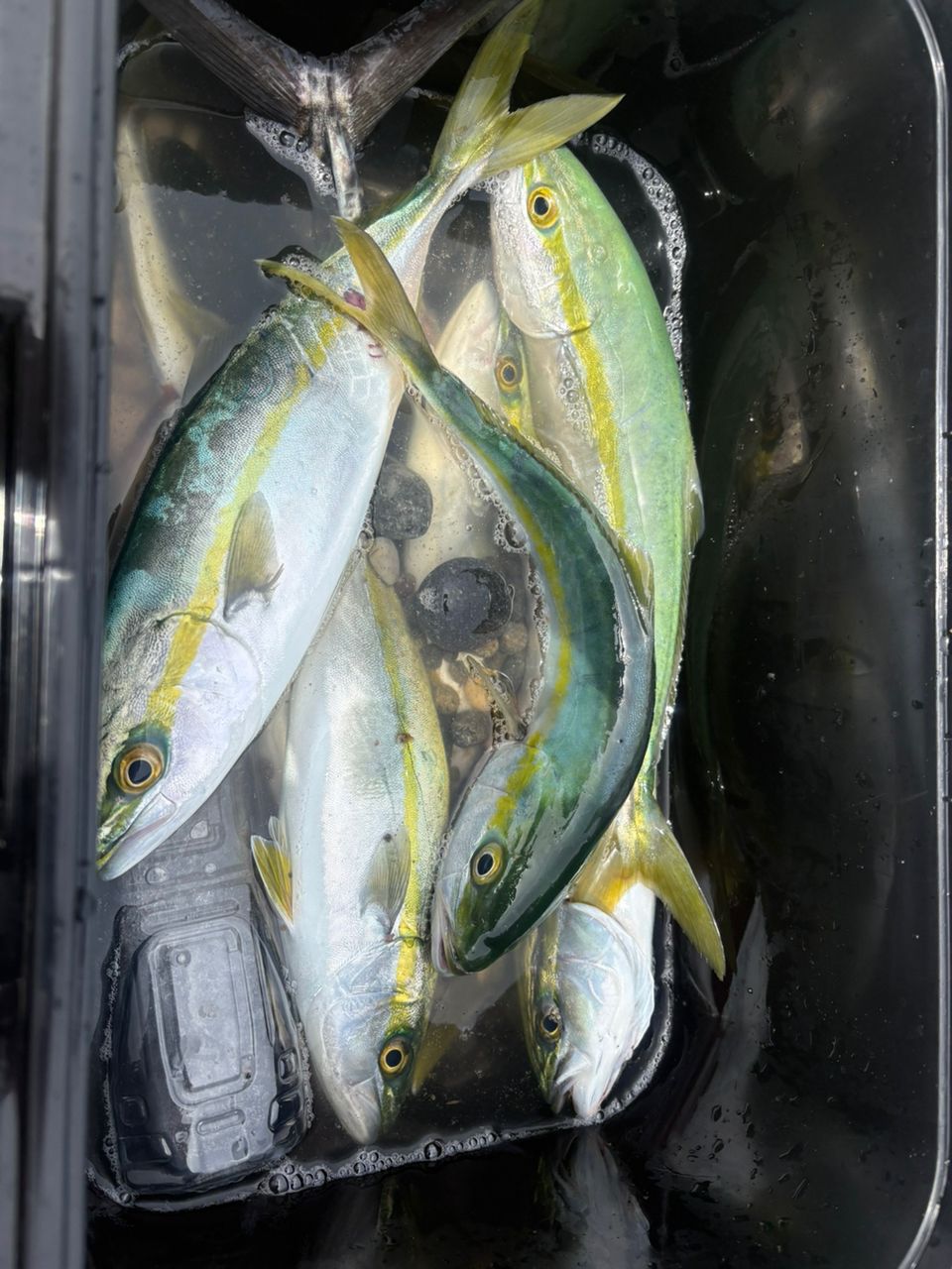 AbuGarcia ソルティースタイルライトショアジギング STLS-962M40-KRの