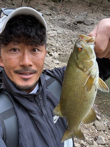 岐阜県北部で釣れたブラックバスの釣り・釣果情報 - アングラーズ