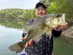 ブラックバスの釣果