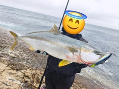 ヒラマサの釣果