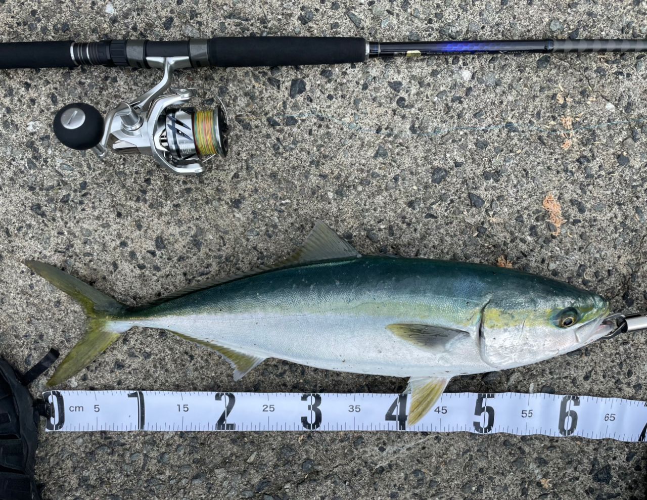 SHIMANO 22コルトスナイパーSS LSJ S100MLの最安値・インプレ・釣果