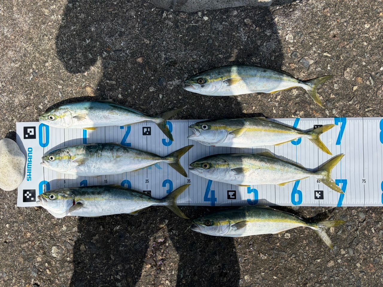 SHIMANO 20コルトスナイパー XR S106MH/PSの最安値・インプレ・釣果