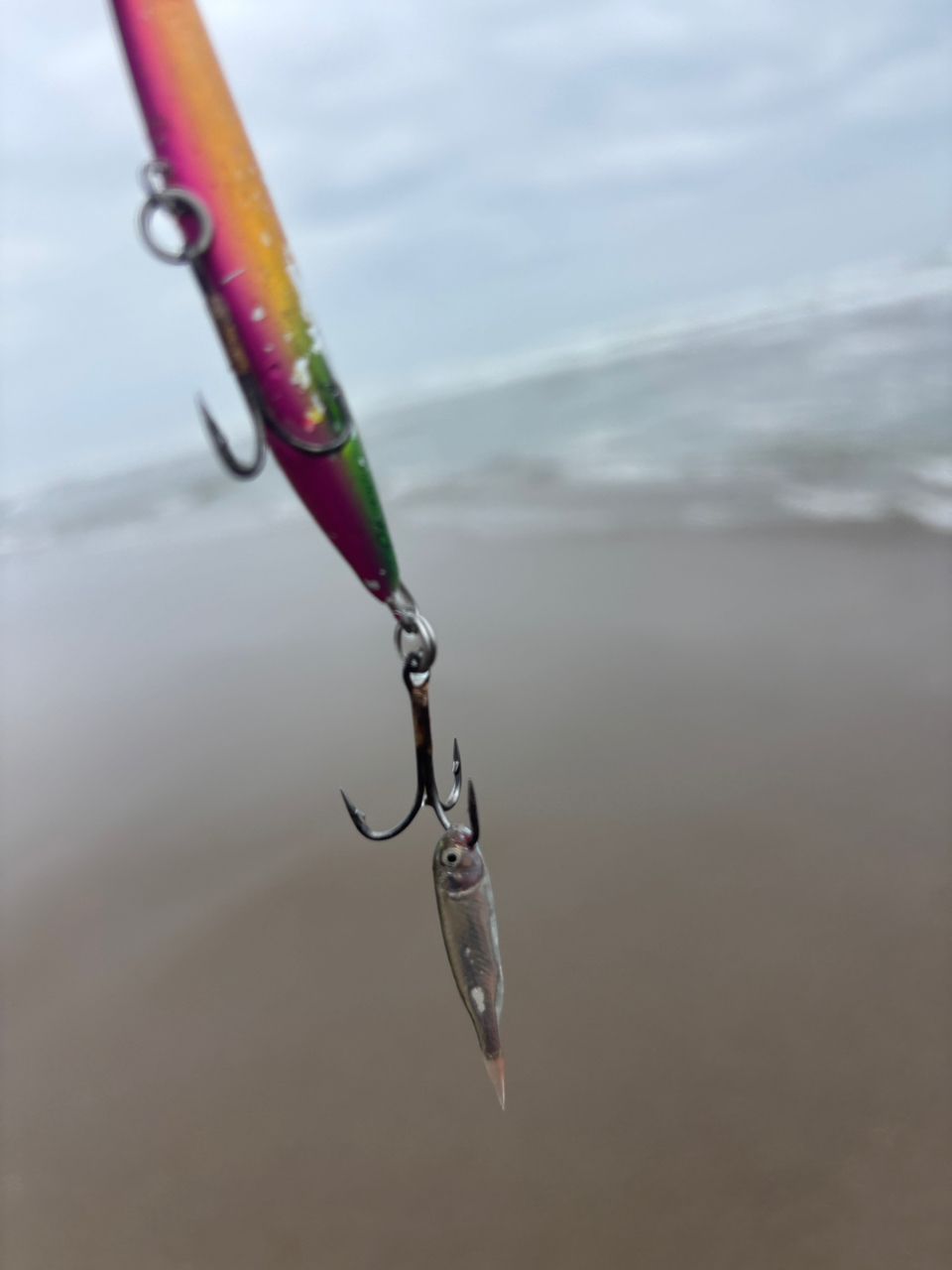 SHIMANO 23ネッサ リミテッド S116M+の最安値・インプレ・釣果 | 本音