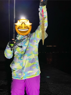ヤリイカの釣果
