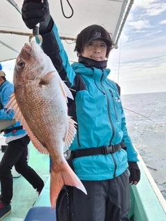 マダイの釣果