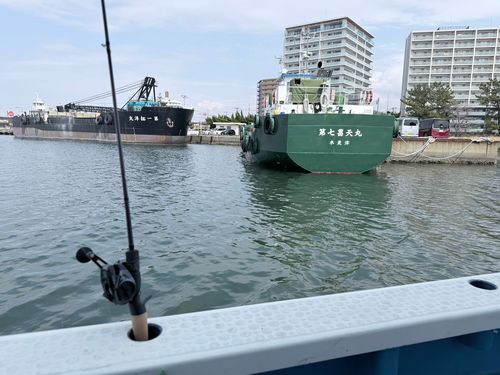 マアジの釣果