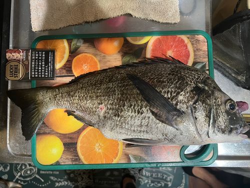 釣果
