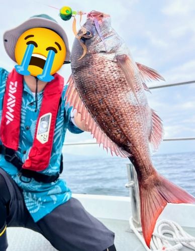 タイの釣果