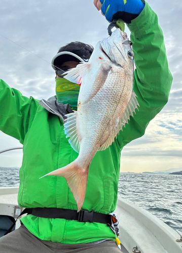 タイの釣果