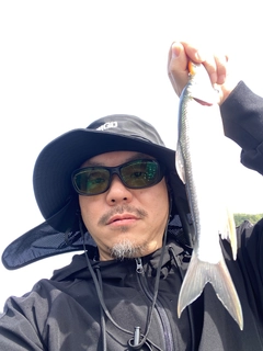 ハスの釣果