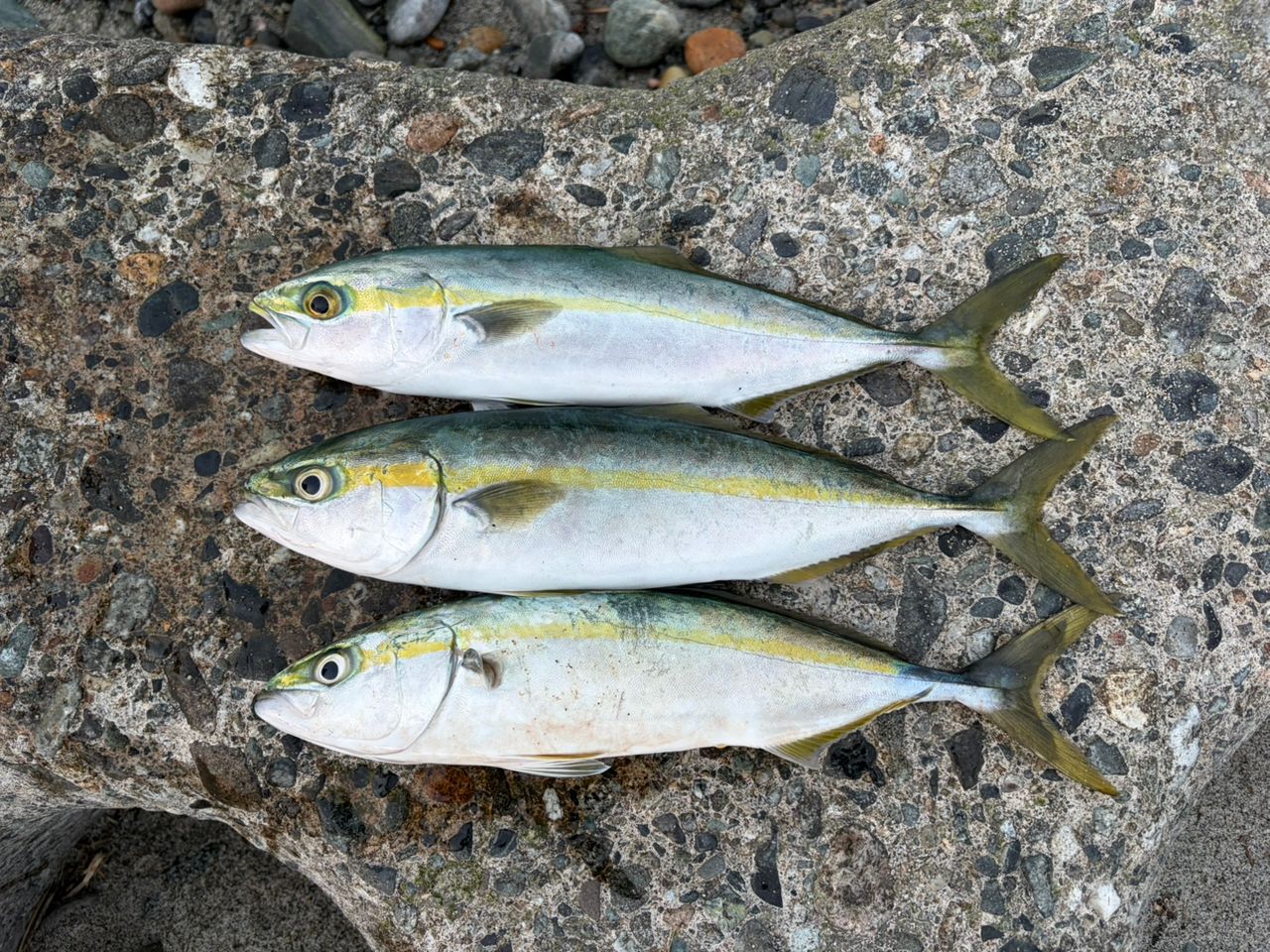 SHIMANO 20コルトスナイパー XR S106MH/PSの最安値・インプレ・釣果