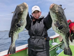 トラフグの釣果
