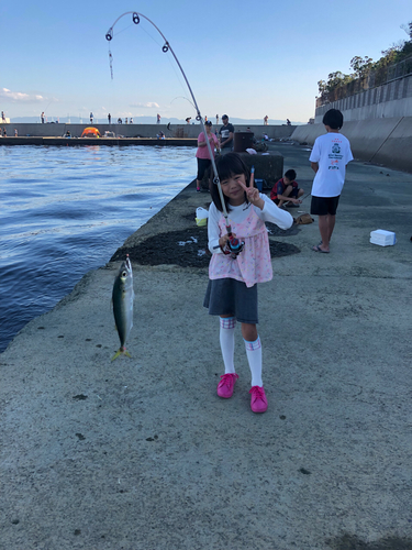 ゴマサバの釣果