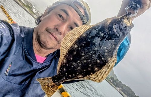 日本海で釣れたヒラメの釣り・釣果情報 - アングラーズ | 釣果600万件