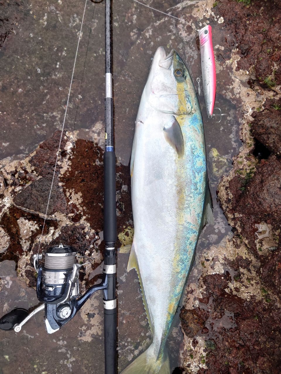 SHIMANO 21グラップラー タイプC（3ピースモデル） S82XH-3の最安値