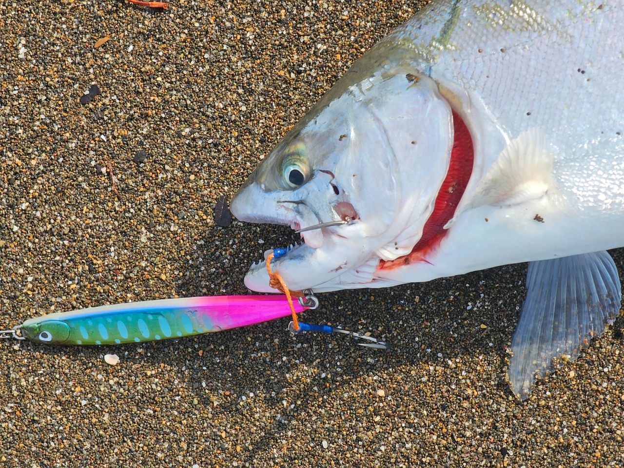 DAIWA 22カムイランケタム 109ML/M+ AGSの最安値・インプレ・釣果