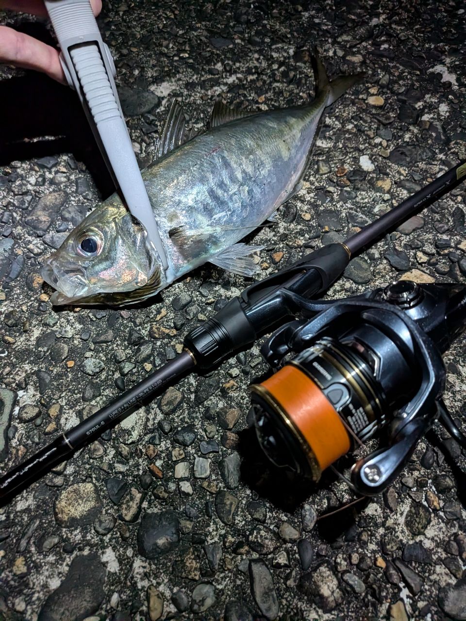 SHIMANO 22ソアレ SS アジング S70UL-Sの最安値・インプレ・釣果