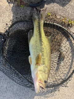 釣果