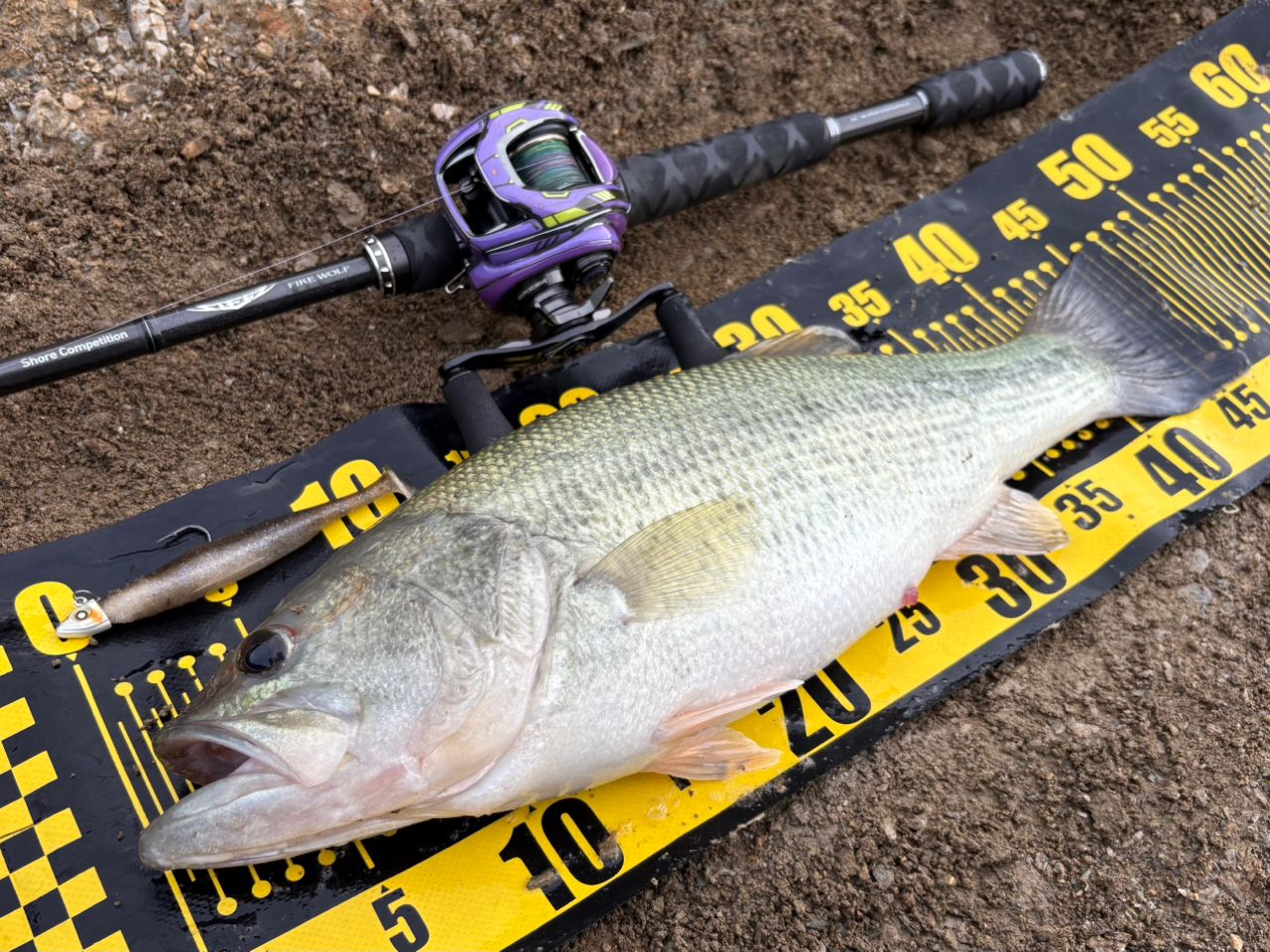 DAIWA 24スティーズ SV TW 100 100HLの最安値・インプレ・釣果 | 本音