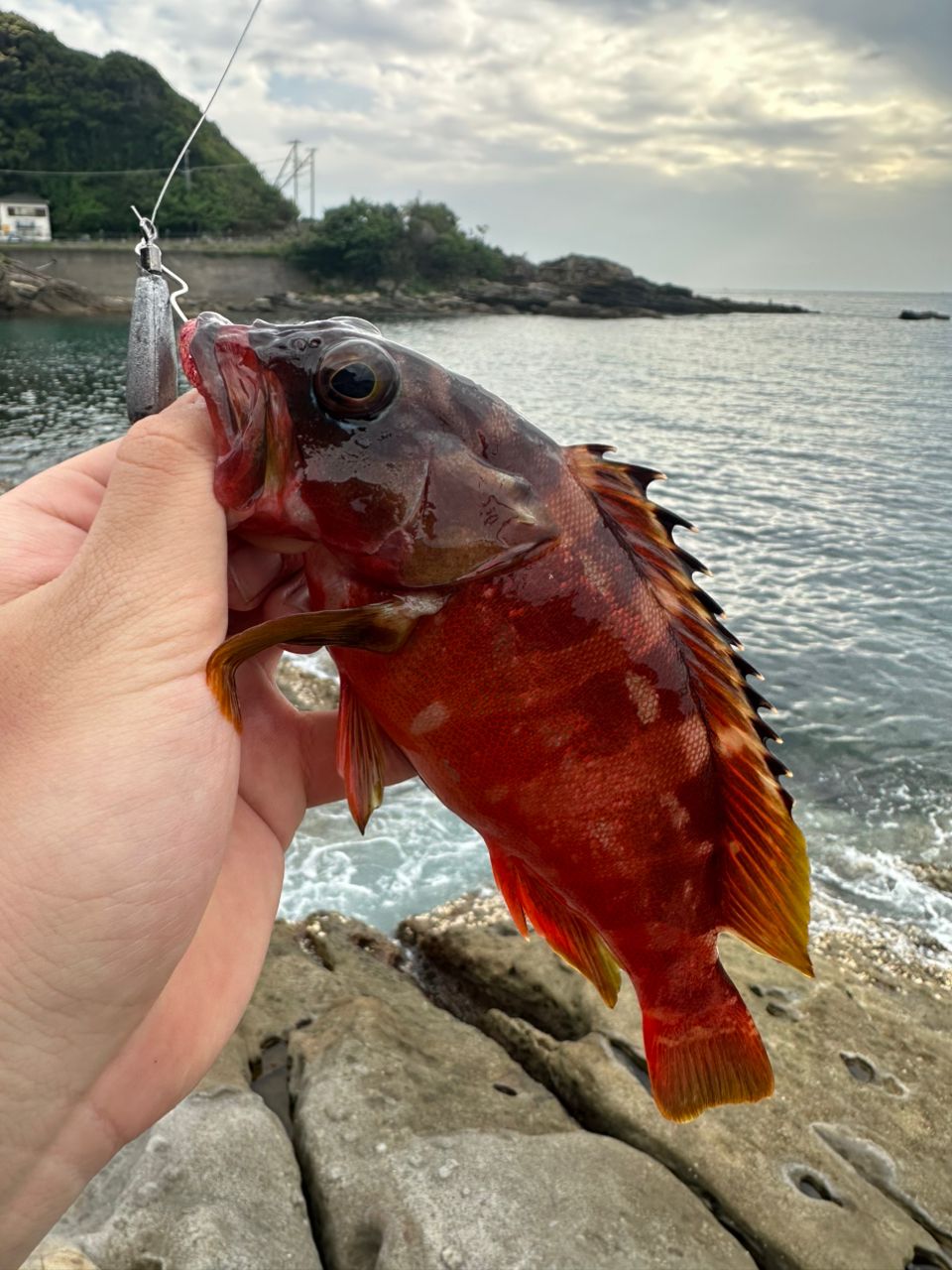 MajorCraft 23ロックライバー 5G RV5-802MH/Bの最安値・インプレ・釣果