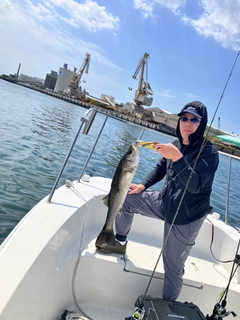 シーバスの釣果