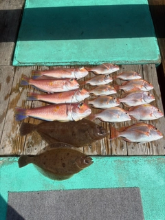 アマダイの釣果
