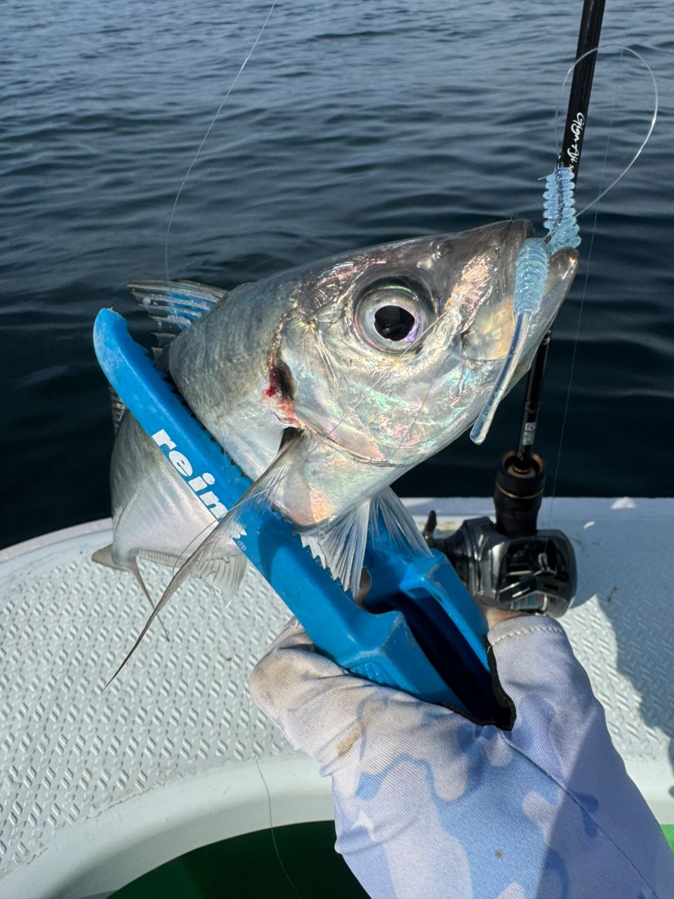 DAIWA 20アドミラ A 100XHLの最安値・インプレ・釣果 | 本音の口コミが