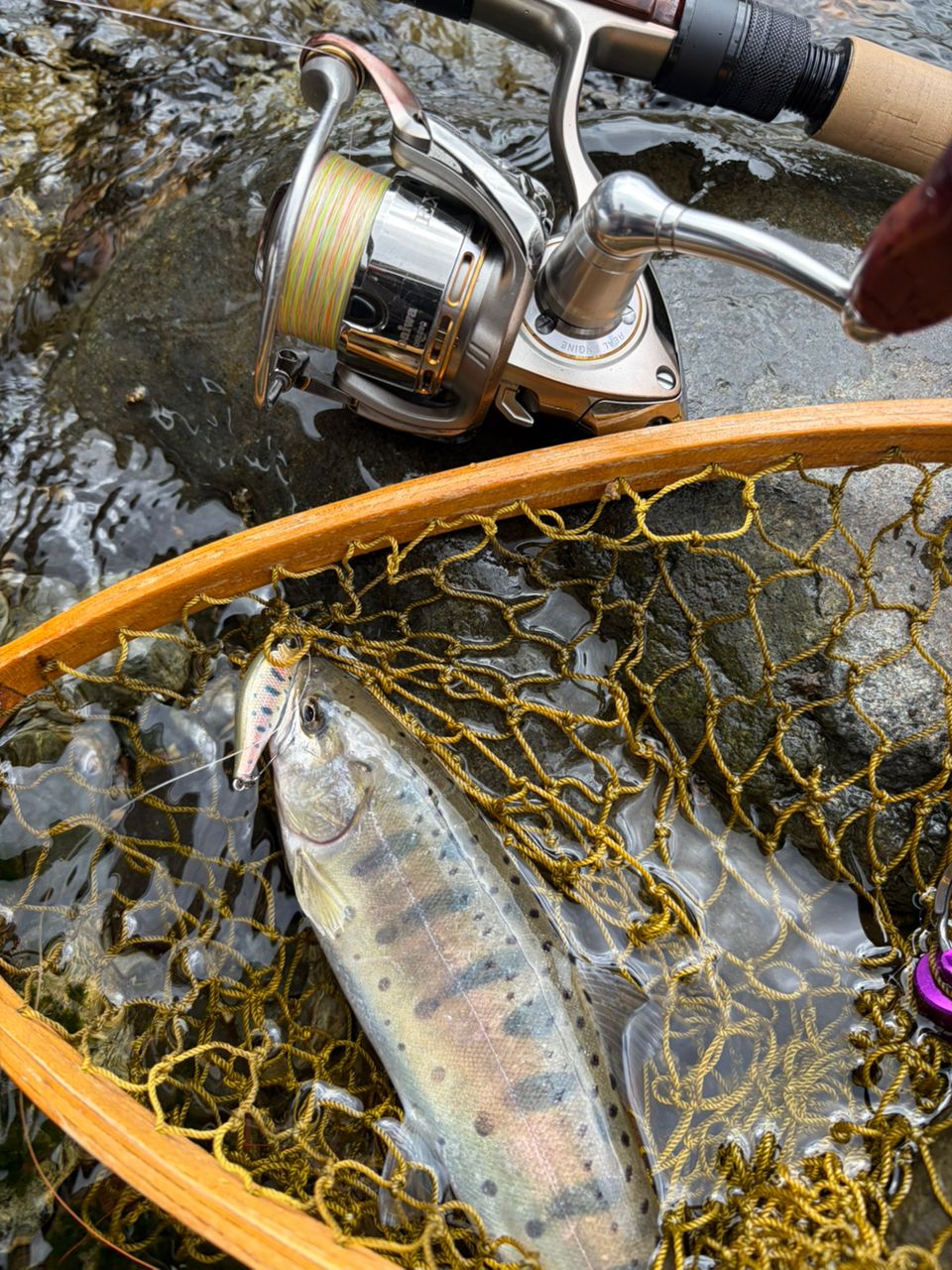 DAIWA 18シルバークリーク ストリーム トゥイッチャー 53ULの最安値