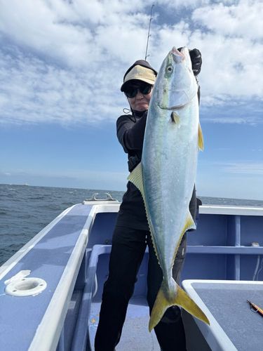 ワラサの釣果