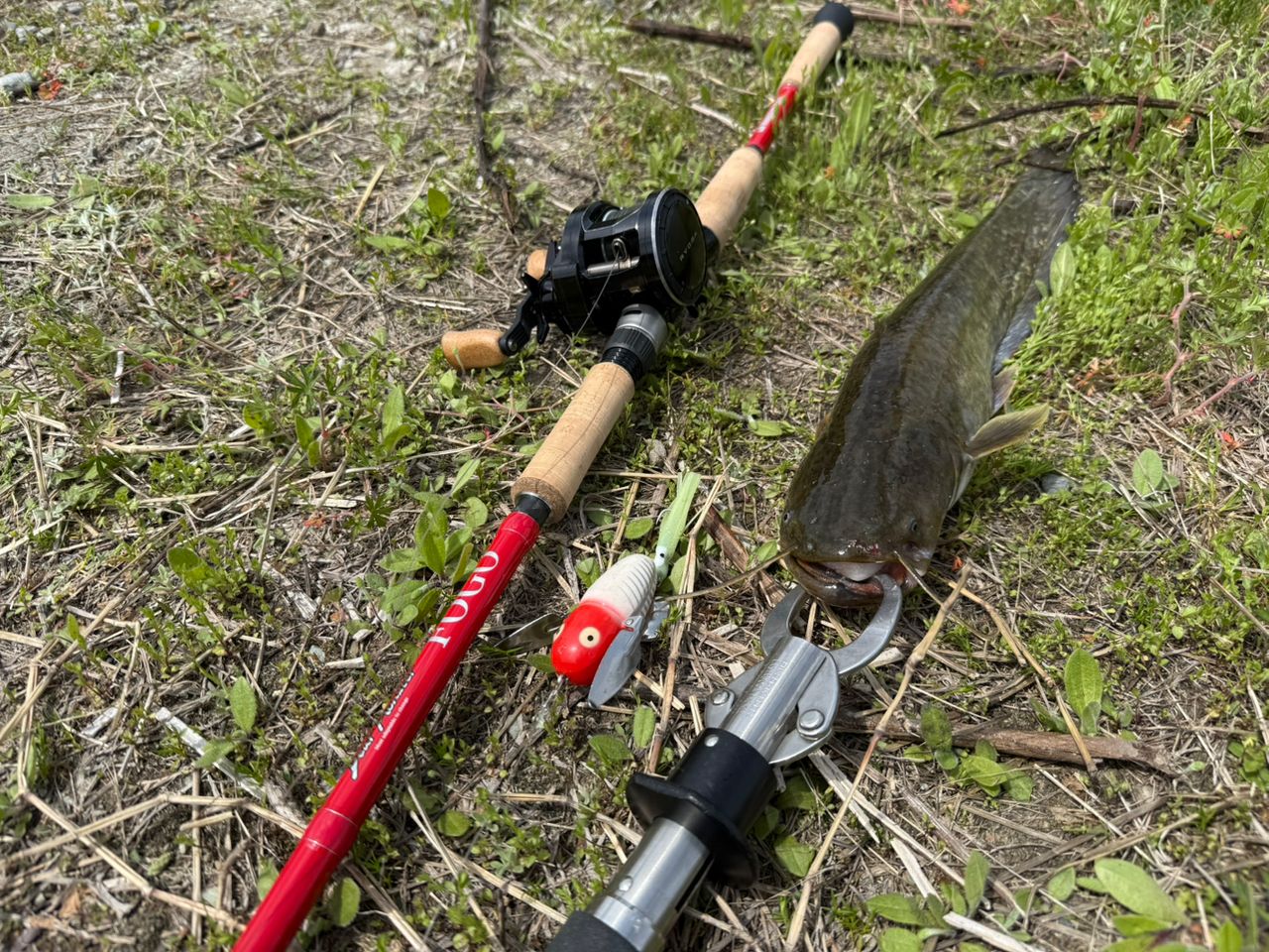 18リョウガ36000円から34000円 DAIWA 18リョウガ 1520-CCの最安値・インプレ・釣果 | 本音の口コミが